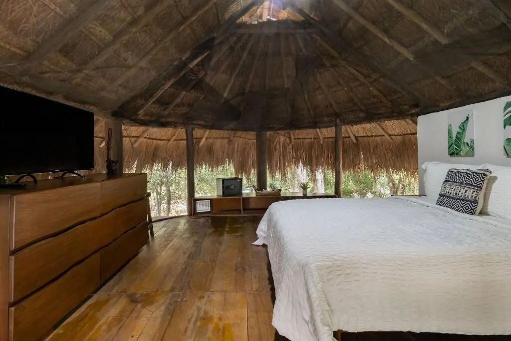 Palapa De La Selva With Cenotes Villa Playa del Carmen Mexico