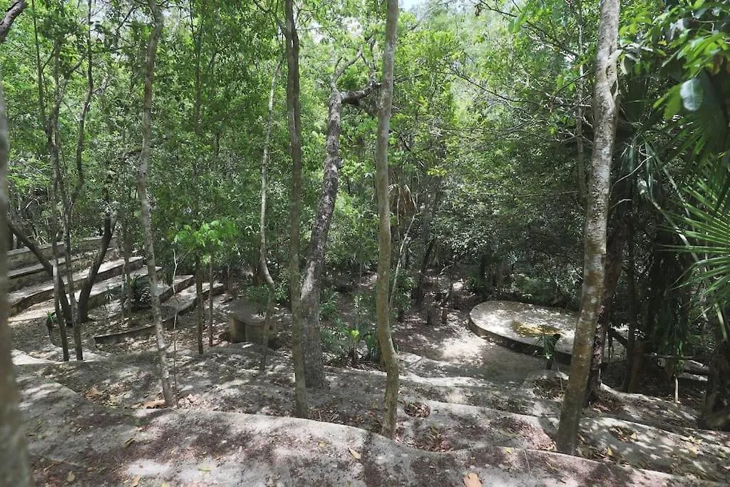 Holiday home Palapa De La Selva With Cenotes Villa Playa del Carmen Mexico