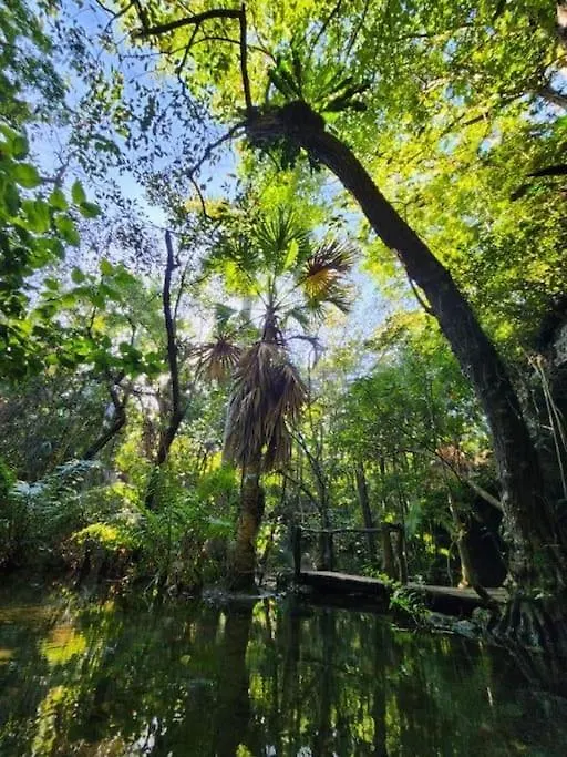 Palapa De La Selva With Cenotes Villa Playa del Carmen