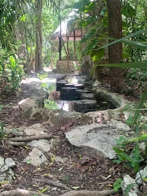 Holiday home Palapa De La Selva With Cenotes Villa Playa del Carmen