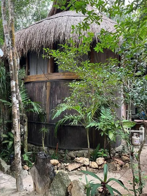 Palapa De La Selva With Cenotes Villa Playa del Carmen Mexico