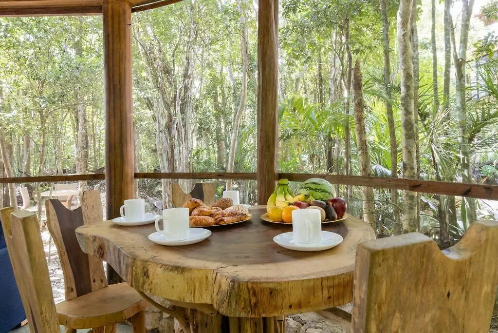 Palapa De La Selva With Cenotes Villa Playa del Carmen Holiday home