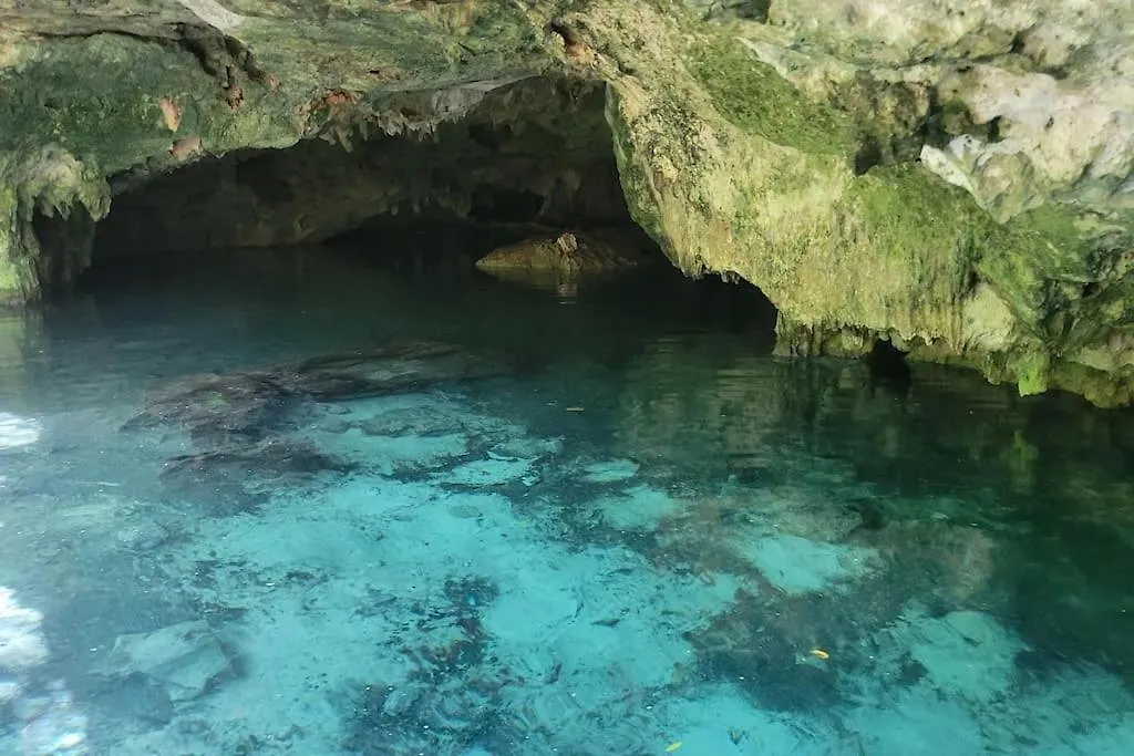 Palapa De La Selva With Cenotes Villa Playa del Carmen Holiday home