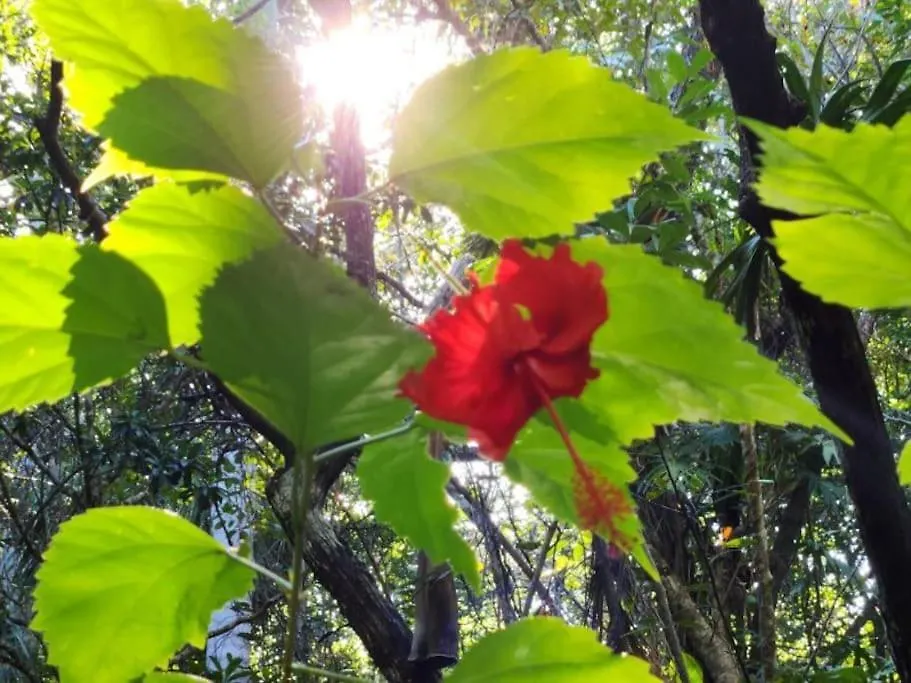 Holiday home Palapa De La Selva With Cenotes Villa Playa del Carmen