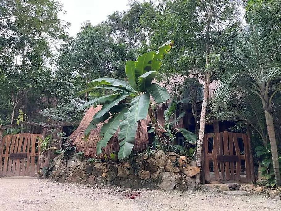 Palapa De La Selva With Cenotes Villa Playa del Carmen Holiday home