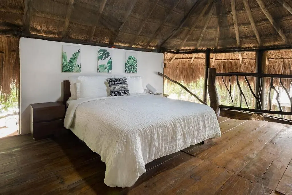 Holiday home Palapa De La Selva With Cenotes Villa Playa del Carmen Mexico